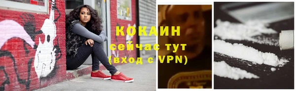 a pvp Лиски