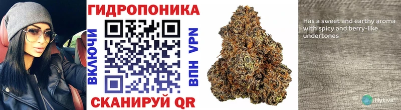 Шишки марихуана Ganja Еманжелинск